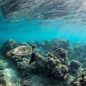 Meet your Posher, Val